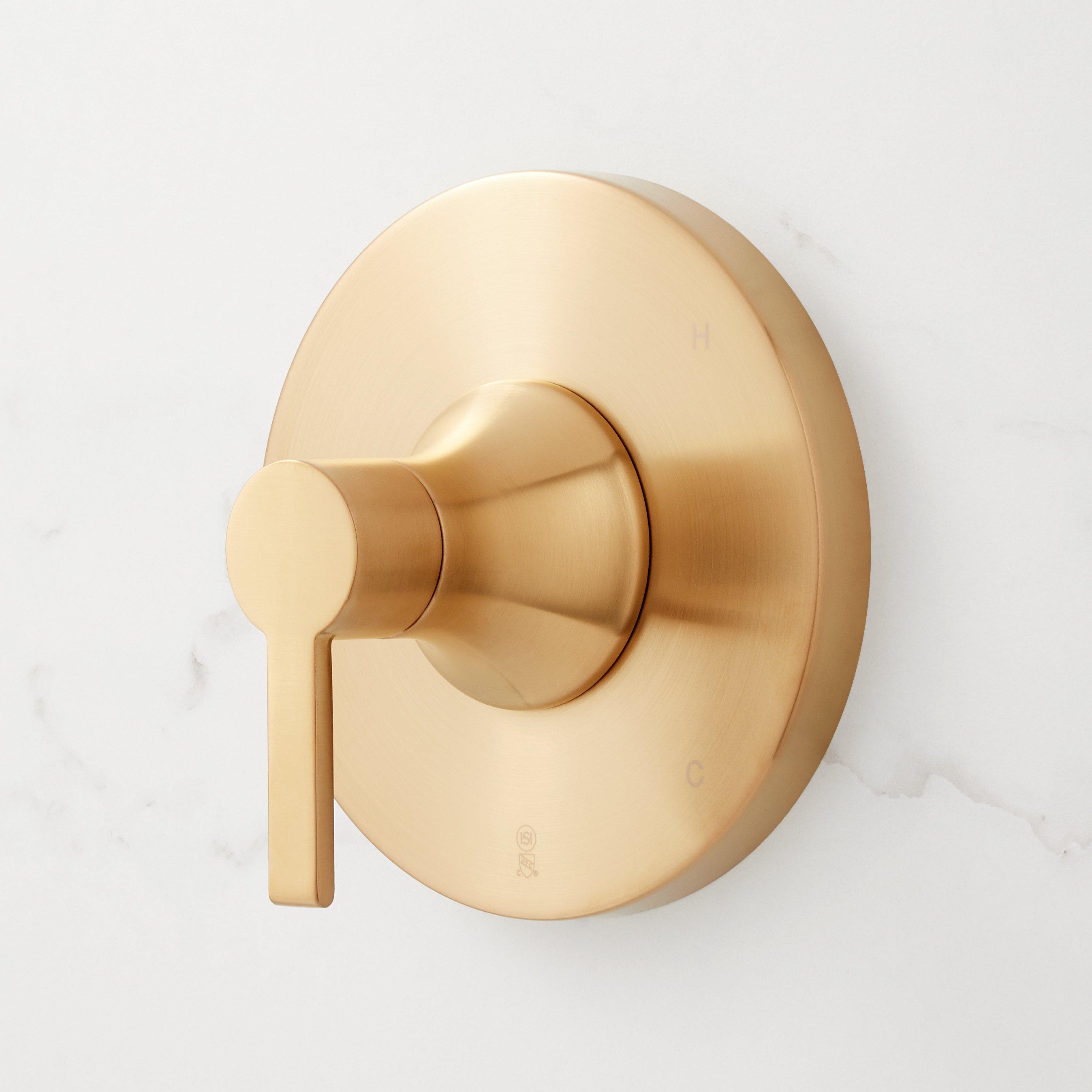 Lentz Pressure Balance Shower Valve Trim - Lever Handle