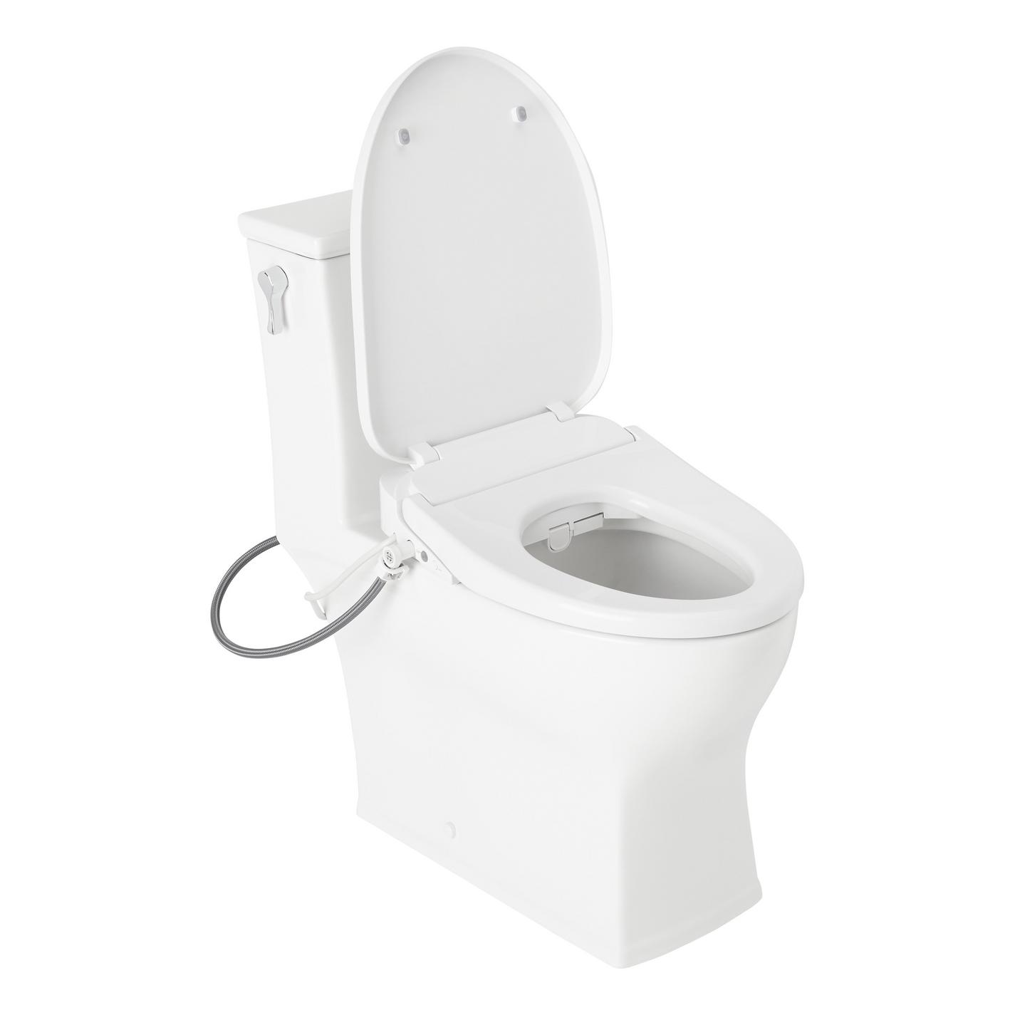 Carraway OnePiece Elongated Toilet with Aldridge Bidet Seat White