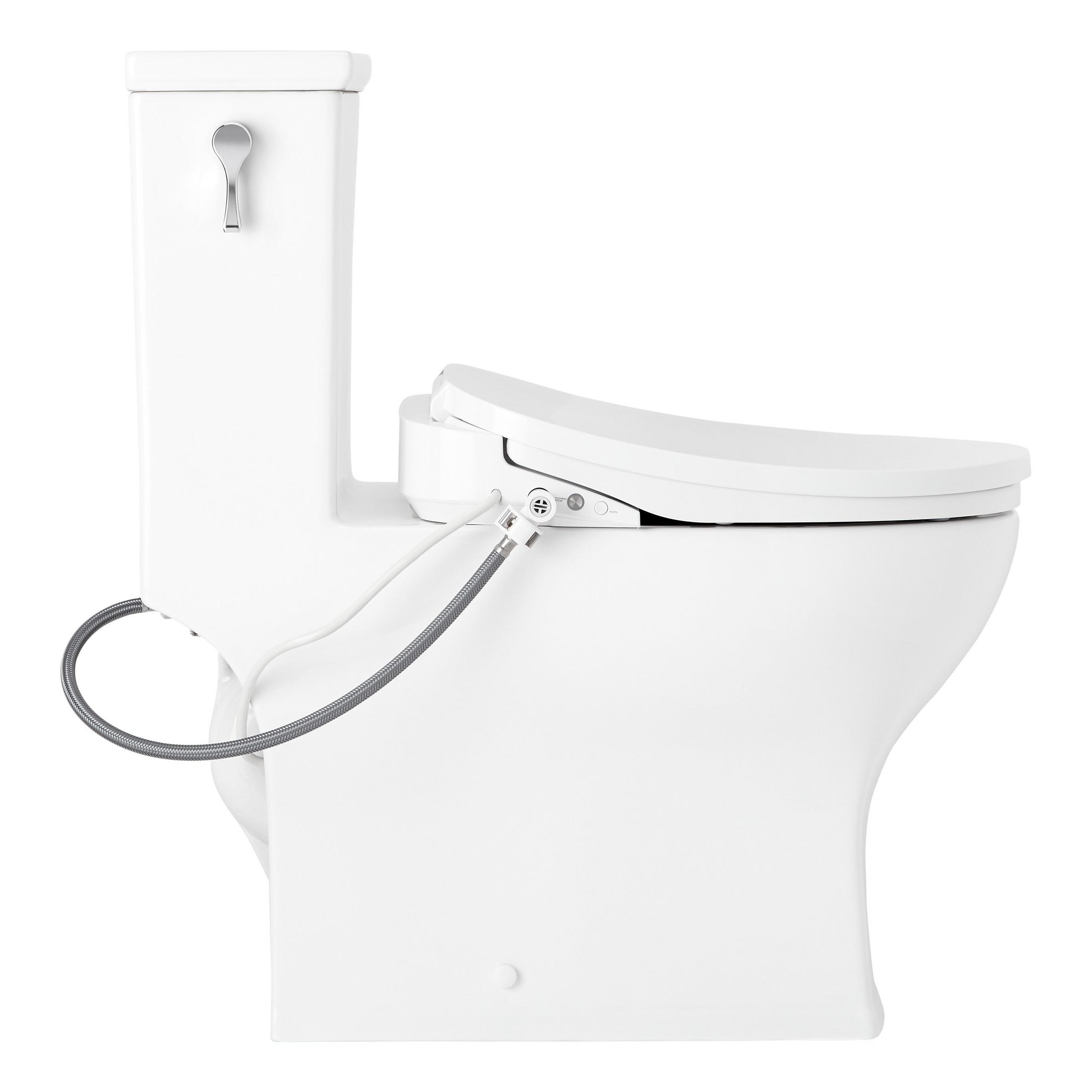 Carraway OnePiece Elongated Toilet with Aldridge Bidet Seat White