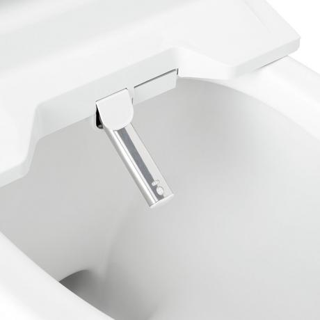 Carraway One-Piece Elongated Toilet with Aldridge Bidet Seat - White