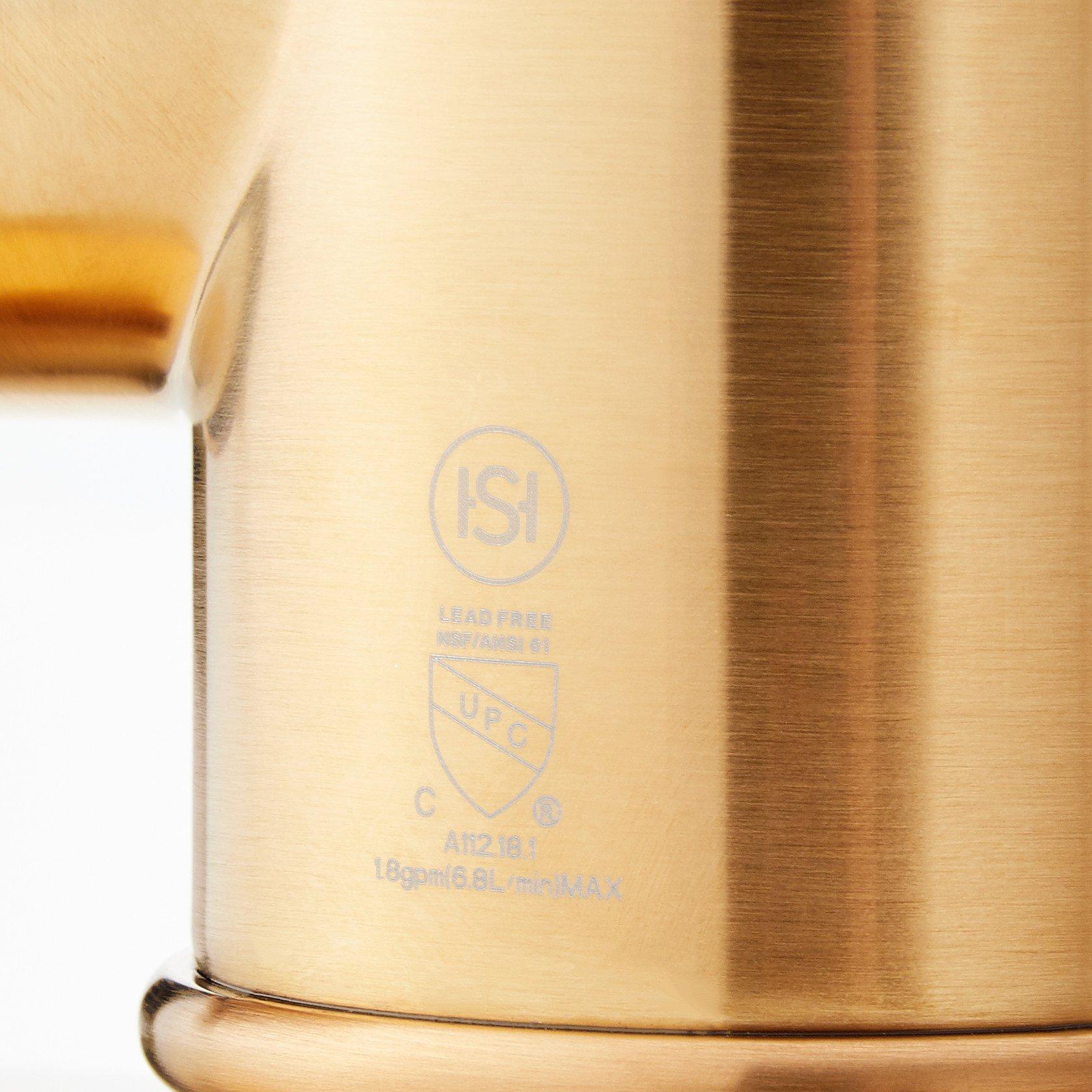 Amberley Single-Hole Pull-Down Spray Kitchen Faucet - Brushed Gold