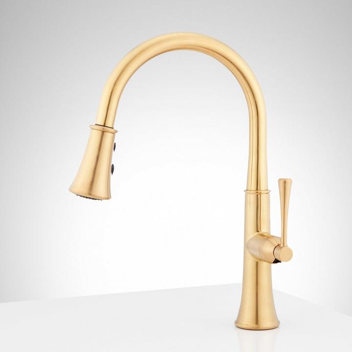 Perdita Single-Hole Pull-Down Kitchen Faucet in Brushed Gold