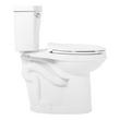Bradenton Two-Piece Elongated Toilet with 10" Rough-In - 19" Bowl Height - Chrome Handle, , large image number 1