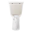 Bradenton Two-Piece Elongated Toilet with 10" Rough-In - 19" Bowl Height, , large image number 5