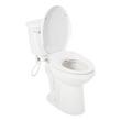 Bradenton Two-Piece Elongated Toilet with 10" Rough-In - 19" Bowl Height, , large image number 3