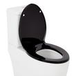 Heavy Duty Slow-Closing Elongated Toilet Seat - Black, , large image number 1