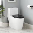 Sitka One-Piece Elongated Skirted Toilet - Black Heavy Duty Seat, , large image number 0