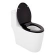 Sitka One-Piece Elongated Skirted Toilet - Black Heavy Duty Seat, , large image number 4