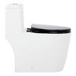 Sitka One-Piece Elongated Skirted Toilet - Black Heavy Duty Seat, , large image number 1