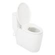 Sitka One-Piece Elongated Skirted Toilet - Bidet Seat, , large image number 4