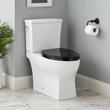 Carraway Two-Piece Skirted Elongated Toilet - ADA Compliant - Black Heavy Duty Seat, , large image number 0