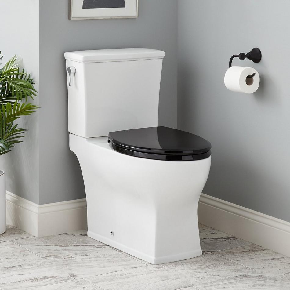Carraway Two-Piece Skirted Elongated Toilet - ADA Compliant - Black Heavy Duty Seat, , large image number 0