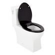Carraway Two-Piece Skirted Elongated Toilet - ADA Compliant - Black Heavy Duty Seat, , large image number 4