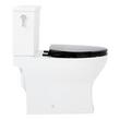 Carraway Two-Piece Skirted Elongated Toilet - ADA Compliant - Black Heavy Duty Seat, , large image number 1
