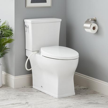 Carraway Two-Piece Skirted Elongated Toilet - ADA Compliant - White