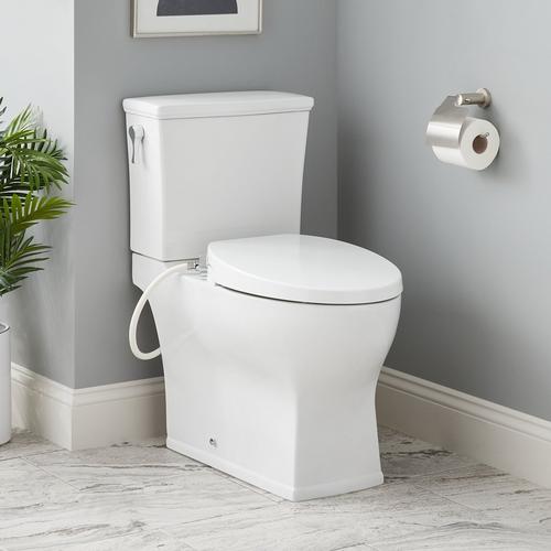 Carraway Two-Piece Skirted Elongated Toilet