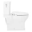 Carraway Two-Piece Skirted Elongated Toilet - ADA Compliant  - Bidet Seat, , large image number 1