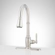 Finnian Pull-Down Kitchen Faucet with Deck Plate, , large image number 2