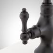 Isabel Single-Hole Gooseneck Bar Faucet - Matte Black, , large image number 2