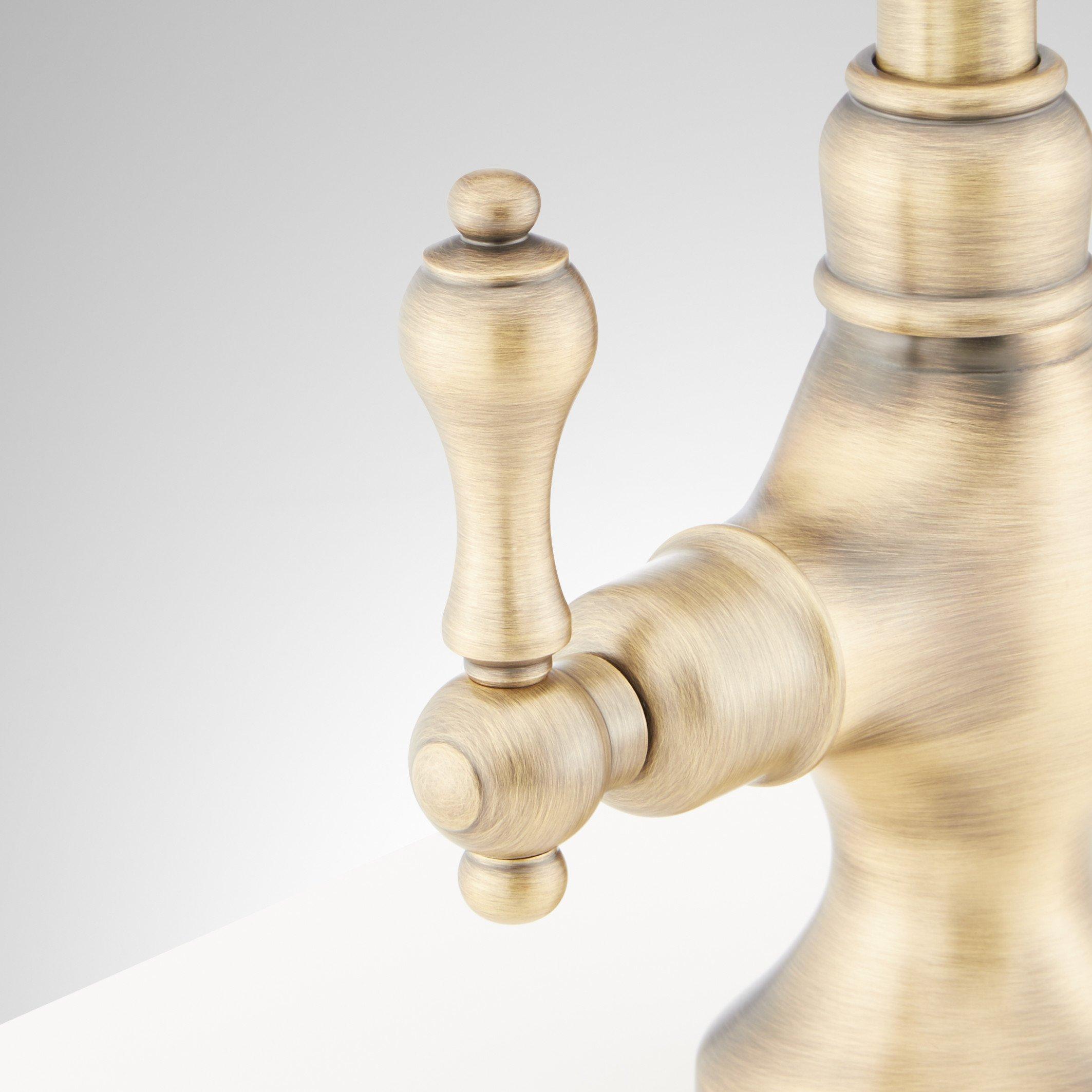 Isabel Single-Hole Gooseneck Bar Faucet - Aged Brass | Signature