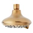 Round Multifunction Shower Head - Brushed Gold, , large image number 1