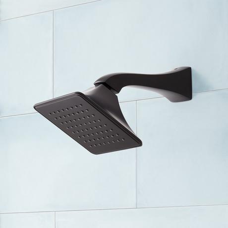 Vilamonte Shower Head and Arm