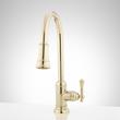 Amberley Single-Hole Pull-Down Spray Kitchen Faucet - Polished Brass, , large image number 0