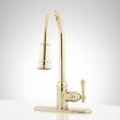 Amberley Single-Hole Pull-Down Spray Kitchen Faucet - Polished Brass, , large image number 1