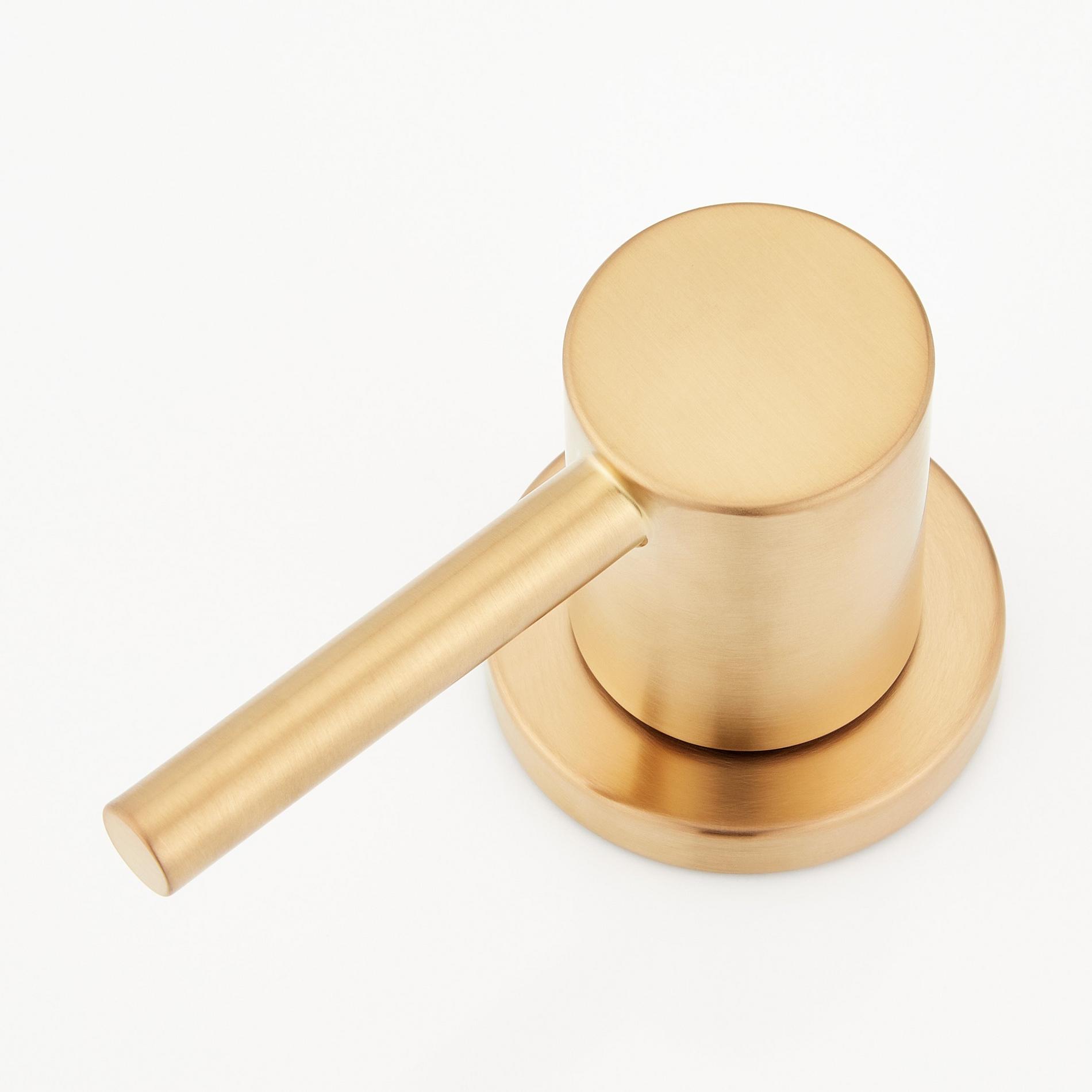 Lexia Widespread Gooseneck Bathroom Faucet - Brushed Gold | Signature ...