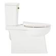 Benbrook Two-Piece Skirted Elongated Toilet - Brushed Gold Tank Handle, , large image number 3