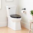 Benbrook Two-Piece Skirted Elongated Toilet With Heavy Duty Black Seat - Matte Black Tank Handle, , large image number 0
