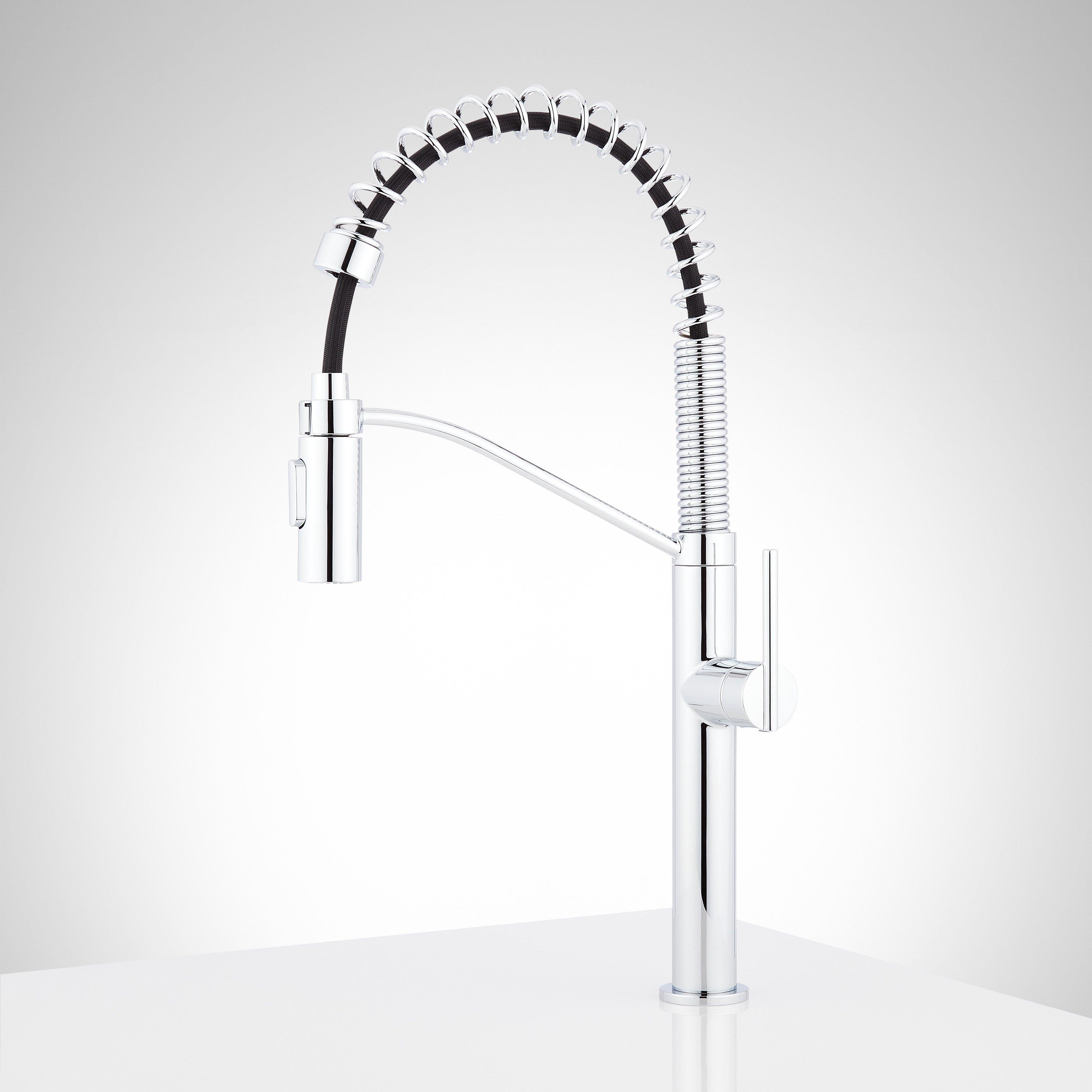 Eiler Single-Hole Kitchen Faucet with Pull-Down Spring Spout