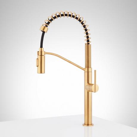 Eiler Single-Hole Kitchen Faucet with Pull-Down Spring Spout
