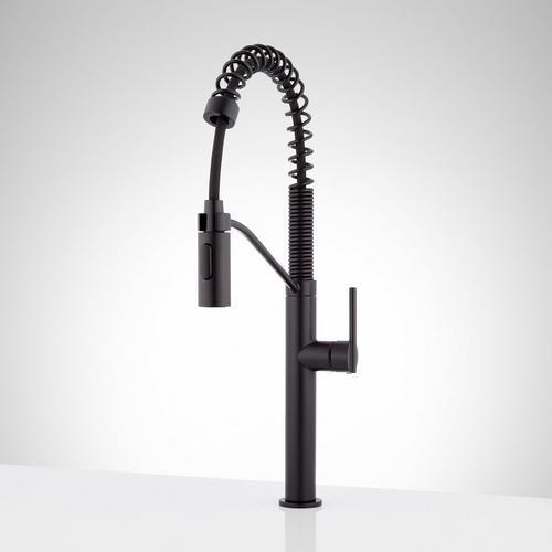 Eiler Kitchen Faucet with Pull Down Spring Spout - Matte Black
