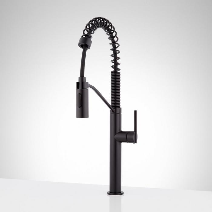 Eiler Kitchen Faucet with Pull Down Spring Spout - Matte Black
