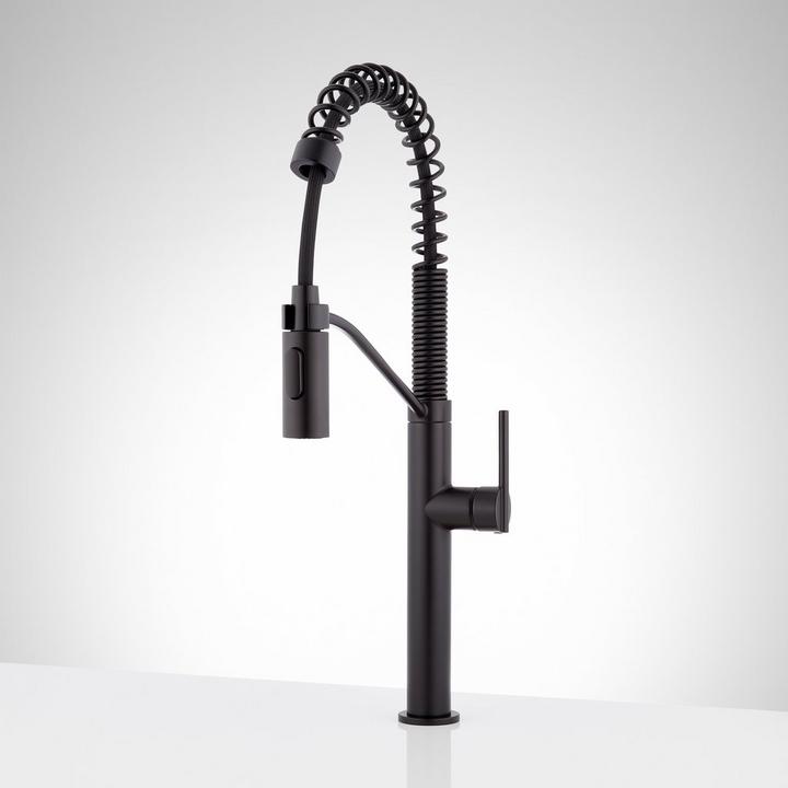 Eiler Single-Hole Kitchen Faucet with Pull-Down Spring Spout in Matte Black