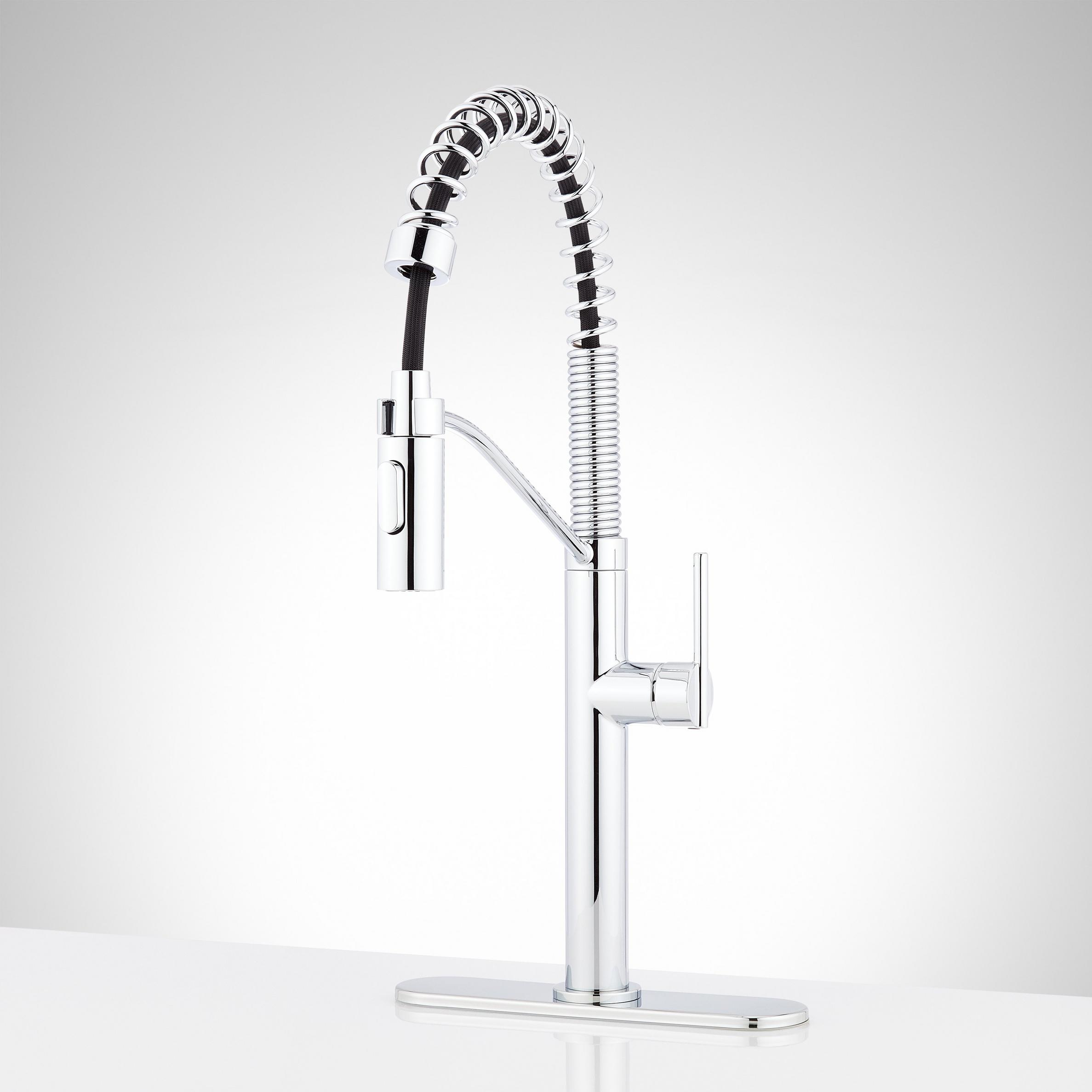Eiler SingleHole Kitchen Faucet with PullDown Spring Spout and Deck