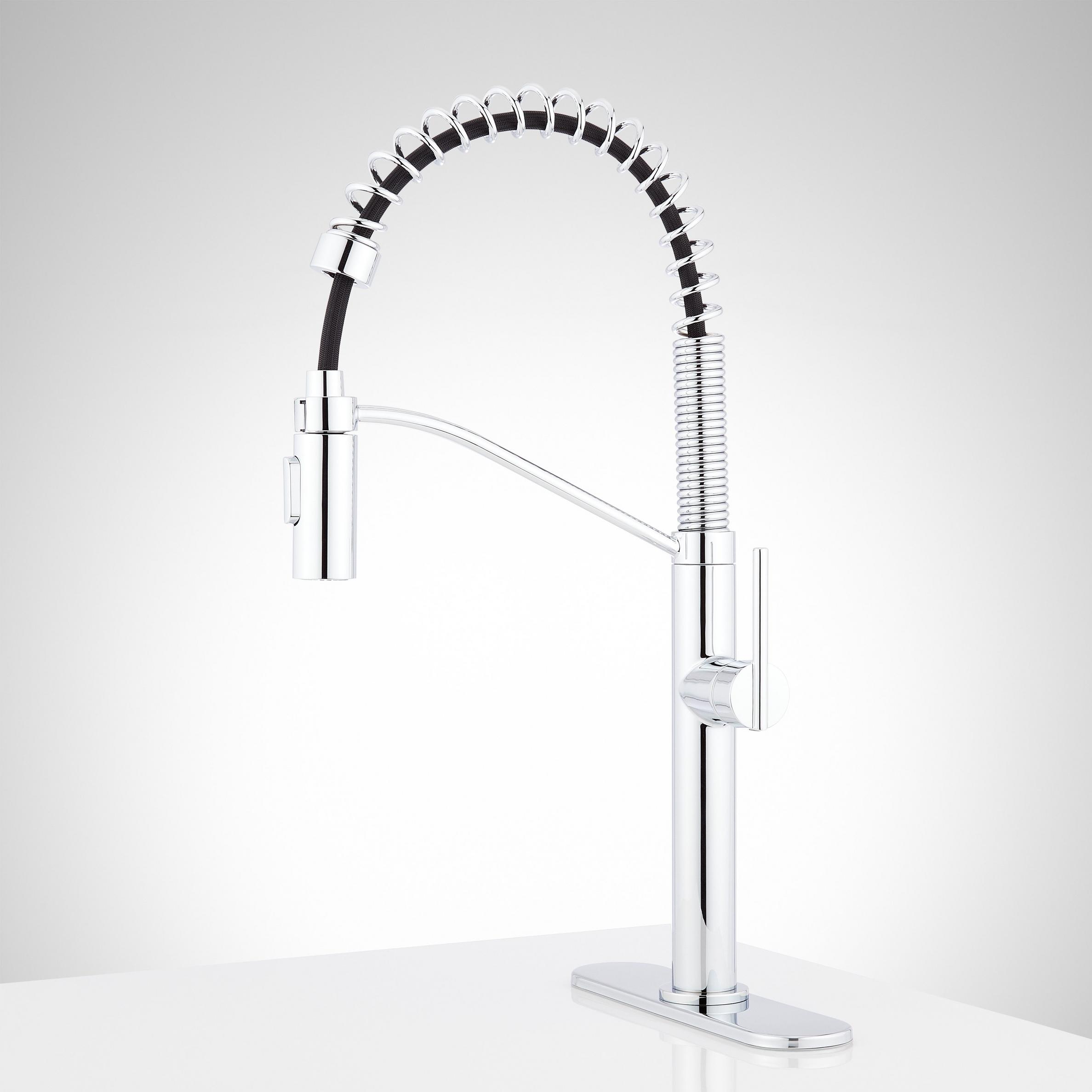 Eiler Single Hole Kitchen Faucet With Pull Down Spring Spout And Deck Plate Signature Hardware 6415