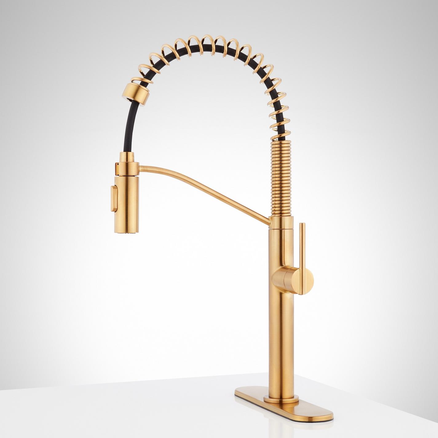 Eiler Single-Hole Kitchen Faucet with Pull-Down Spring Spout and Deck ...