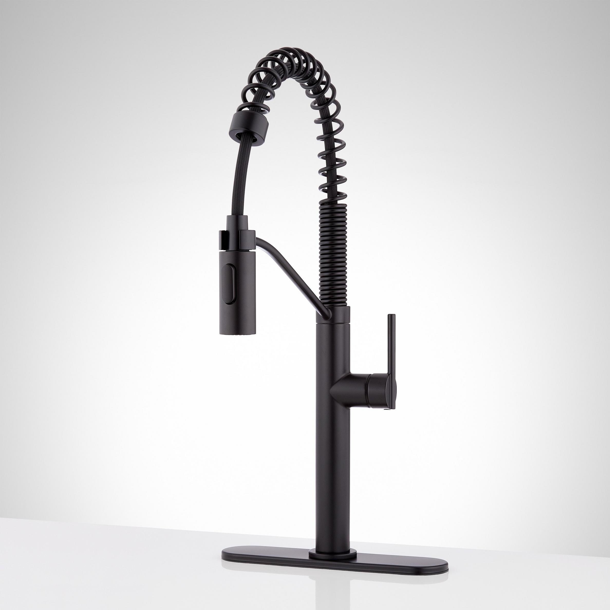 Eiler Single Hole Kitchen Faucet With Pull Down Spring Spout And Deck Plate Signature Hardware 0734