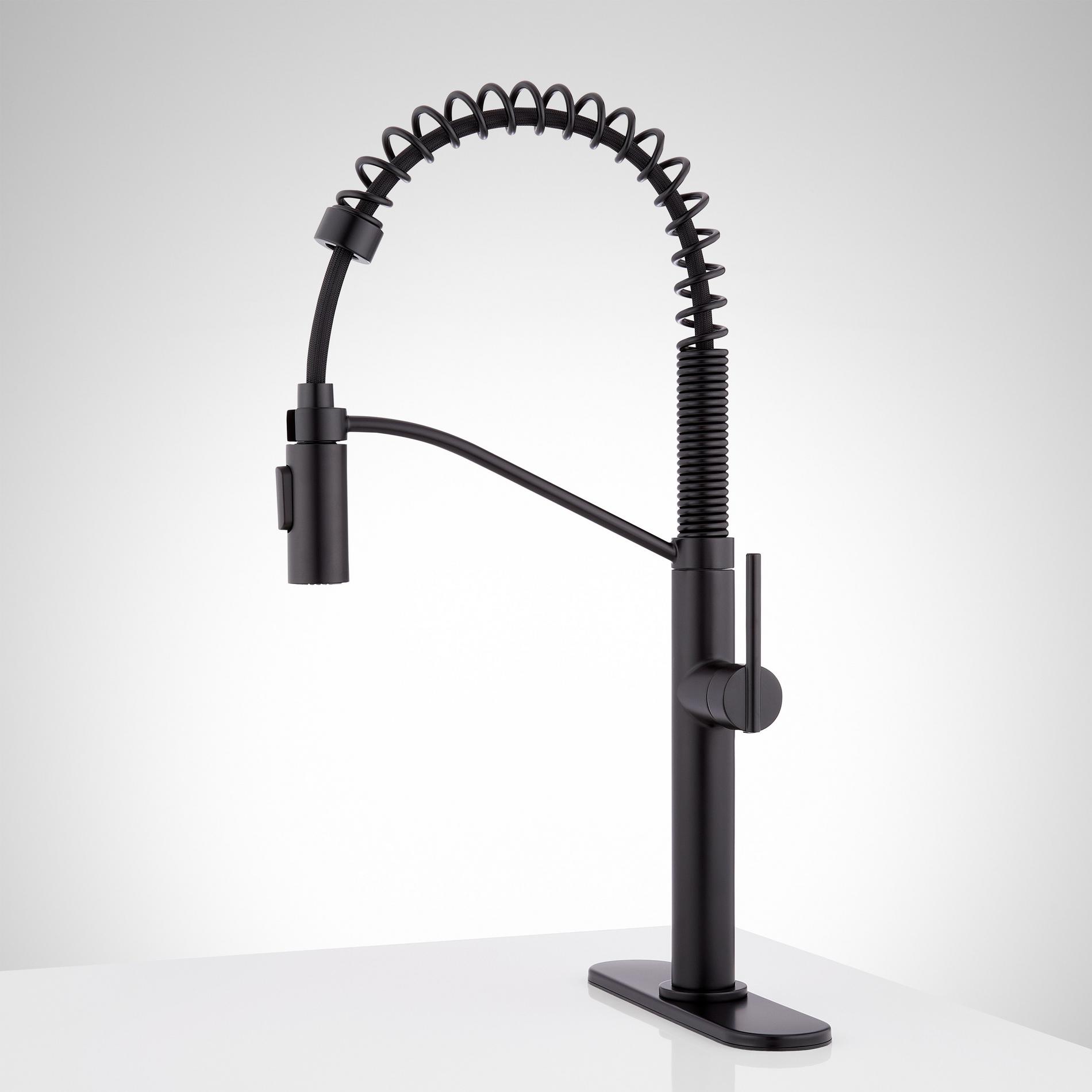 Eiler SingleHole Kitchen Faucet with PullDown Spring Spout and Deck