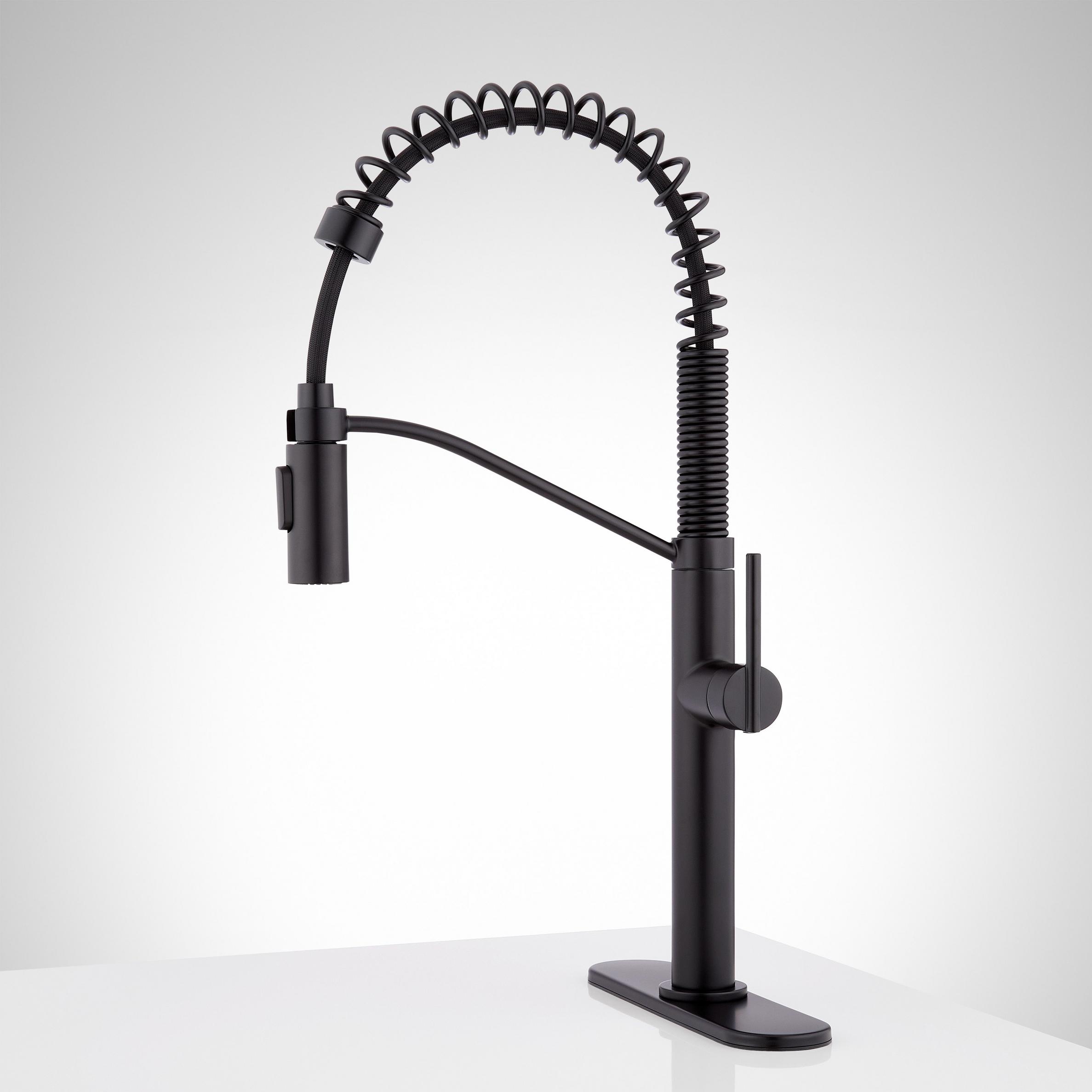 Eiler Single Hole Kitchen Faucet With Pull Down Spring Spout And Deck Plate Signature Hardware 2112