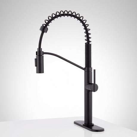 Eiler Single-Hole Kitchen Faucet with Pull-Down Spring Spout and Deck Plate