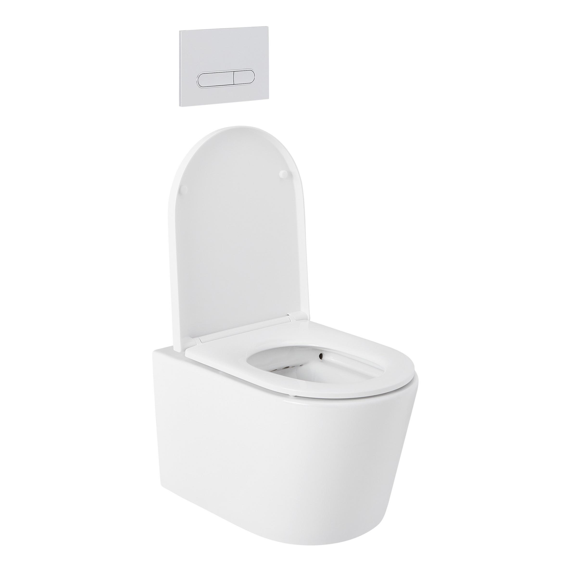 Arnelle DualFlush WallMount Elongated Toilet with InWall Carrier