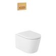 Arnelle Dual-Flush Wall-Mount Elongated Toilet with In-Wall Carrier - Brushed Gold Hardware, , large image number 1