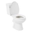 Waycross Two-Piece European Rear Outlet Toilet - Chrome, , large image number 2