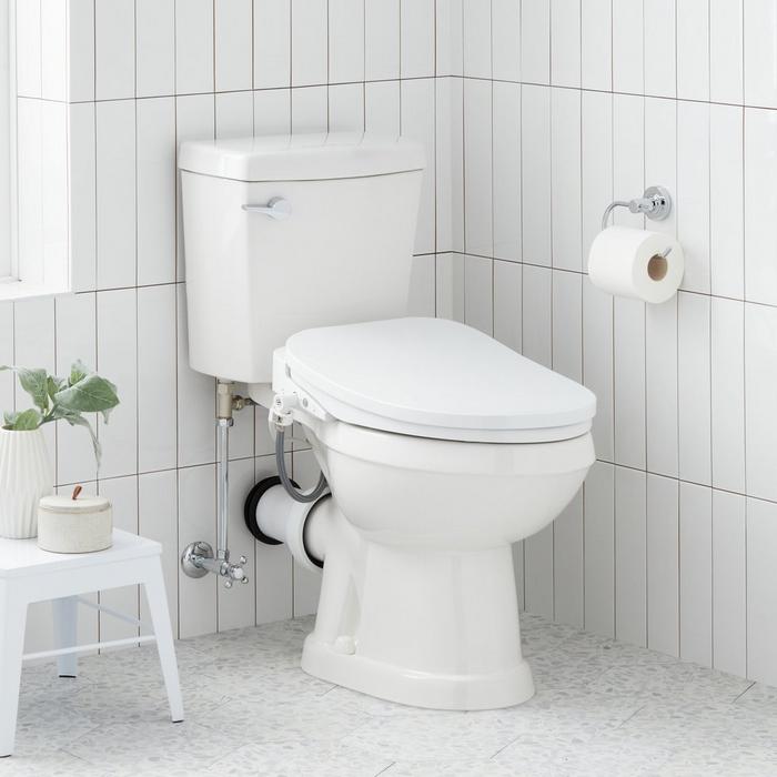 Choosing a New Toilet