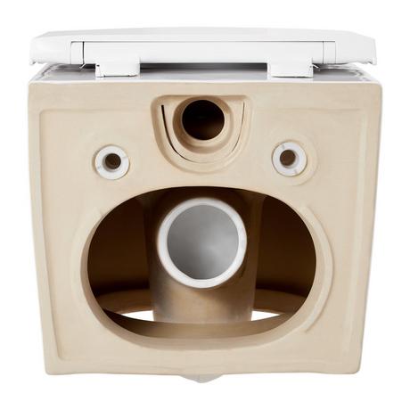 Arnelle Dual-Flush Wall-Mount Elongated Toilet