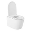 Arnelle Dual-Flush Wall-Mount Elongated Toilet - Bowl Only, , large image number 1