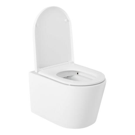 Arnelle Dual-Flush Wall-Mount Elongated Toilet